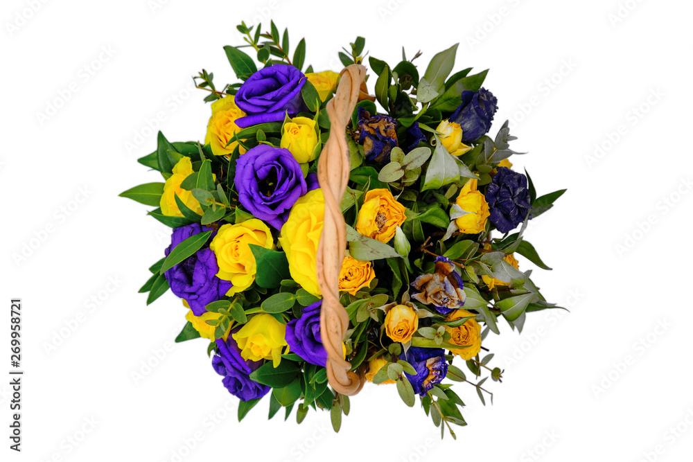 Fototapeta premium A bouquet of blooming roses and the dead. The process of decay of all living things. Fresh and withered plants. Top view of the blue and yellow flowers in the basket. Isolate on white background.