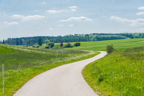 Fototapeta Naklejka Na Ścianę i Meble -  Beautiful road in the nature. Blue sky and green meadows beautiful surroundings to make a trip by car on the road