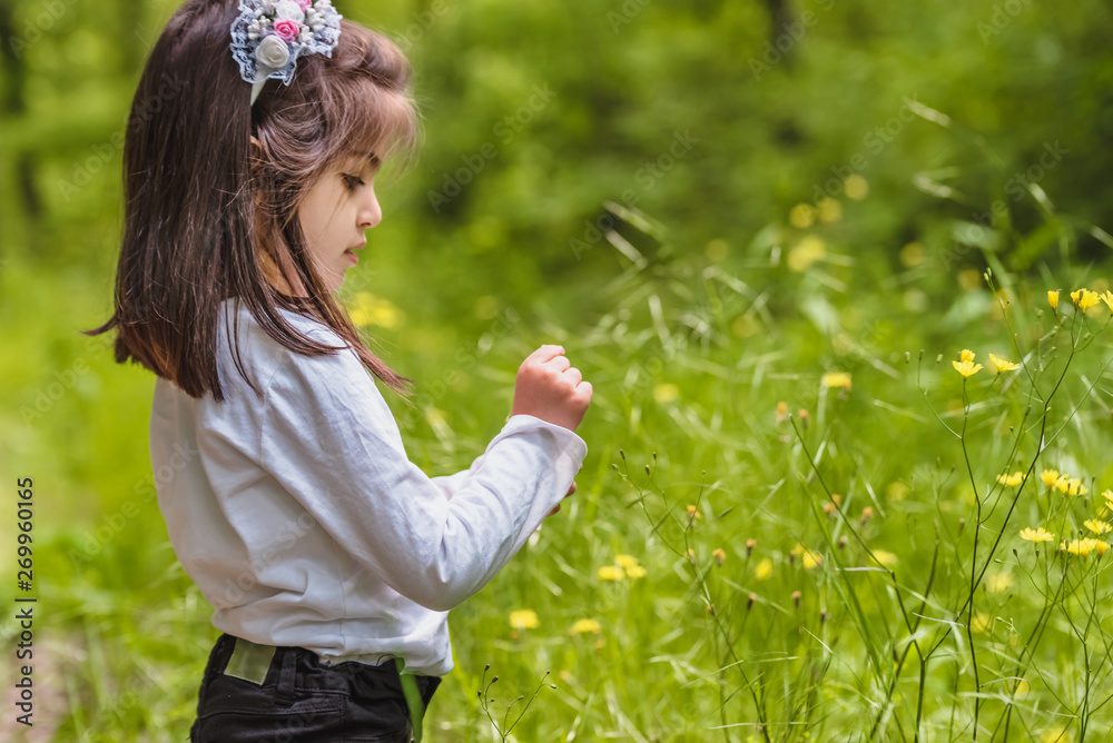 cute little girl picks wild flower at meadow cute little girl picks wild flower at meadow