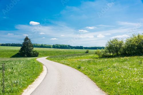 Beautiful road in the nature. Blue sky and green meadows beautiful surroundings to make a trip by car on the road