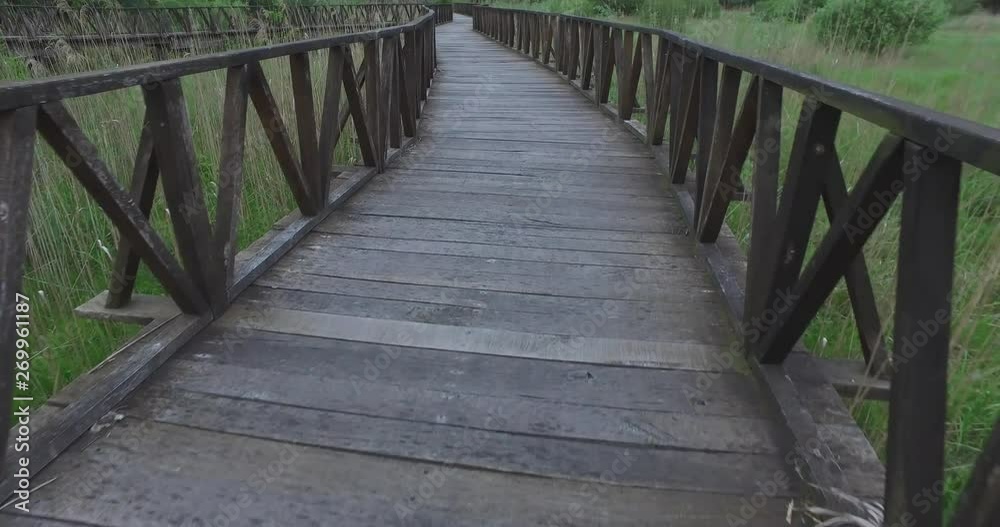 The route, path in nature, swamp, made from wooden boards and green surroundings. The route, path in nature, swamp, made from wooden boards and green surroundings.