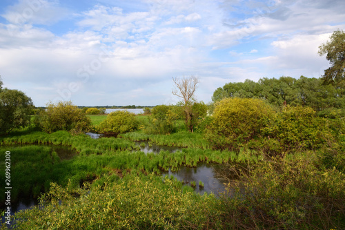 Beautiful summer landscape with flood meadows and trees on a cloudy day