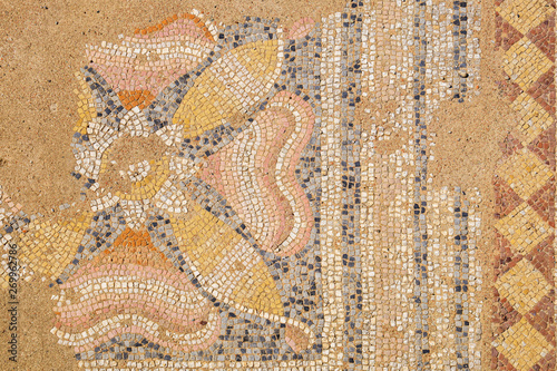 Antique mosaic. Dion, Pieria, Greece photo