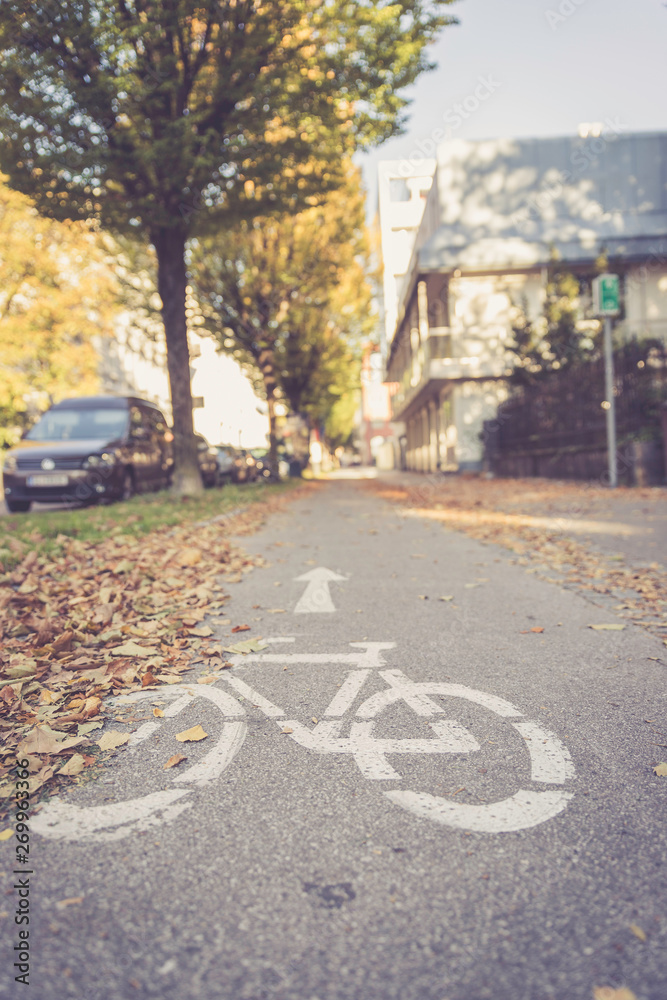 Obraz premium Cycle track, autumn, bike symbol on the floor