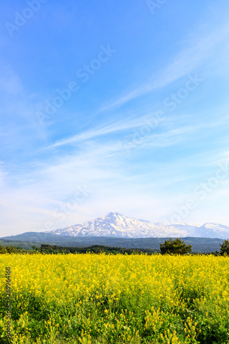 鳥海山