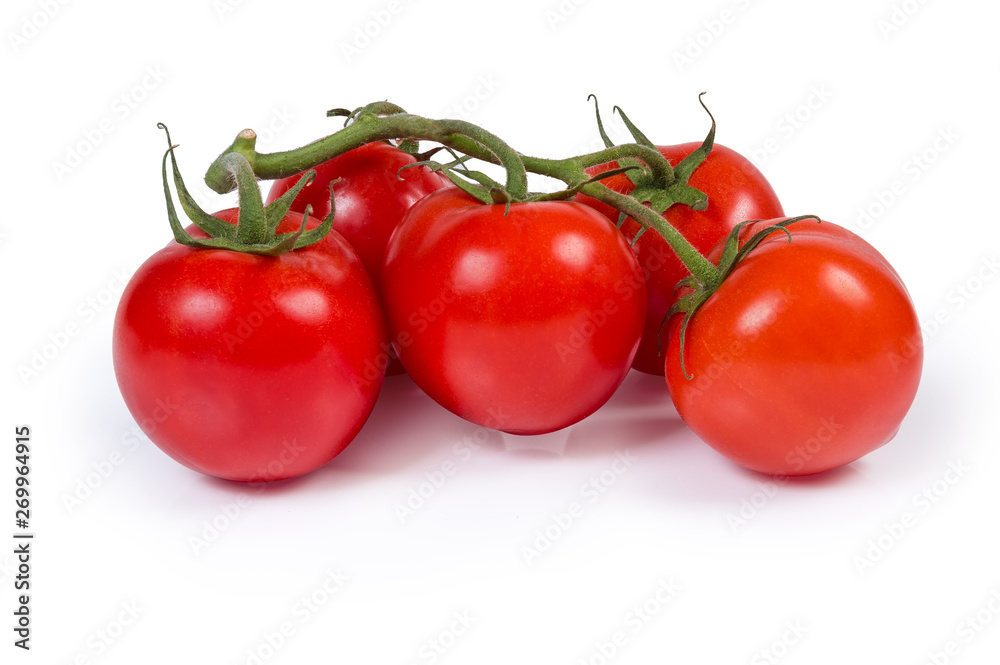 Red tomatoes on branch on a white background Red tomatoes on branch on a white background