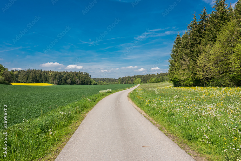 Obraz premium Beautiful road in the nature. Blue sky and green meadows beautiful surroundings to make a trip by car on the road