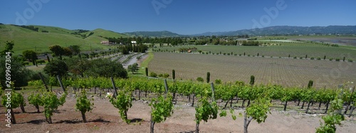 Impressions from the vineyards in Sonoma County from April 29, 2017, California USA