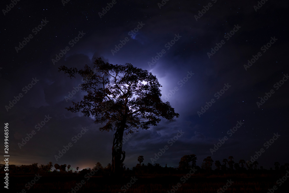 Silhouette tree in the night with rain cloud Silhouette tree in the night with rain cloud