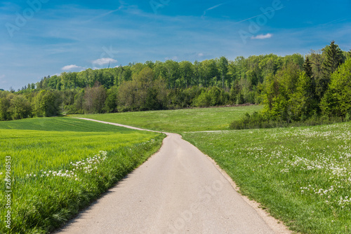 Beautiful road in the nature. Blue sky and green meadows beautiful surroundings to make a trip by car on the road © kugelwolf