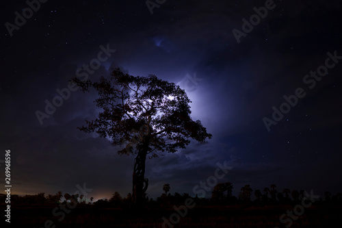 Silhouette tree in the night with rain cloud