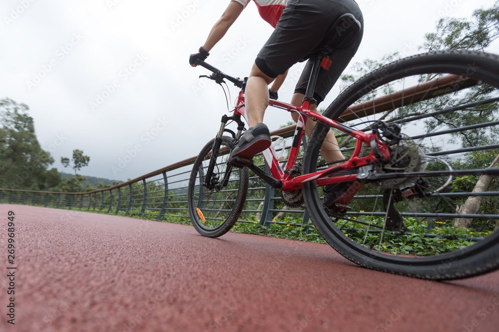 Obraz premium Woman cyclist riding mountain bike on forest trail