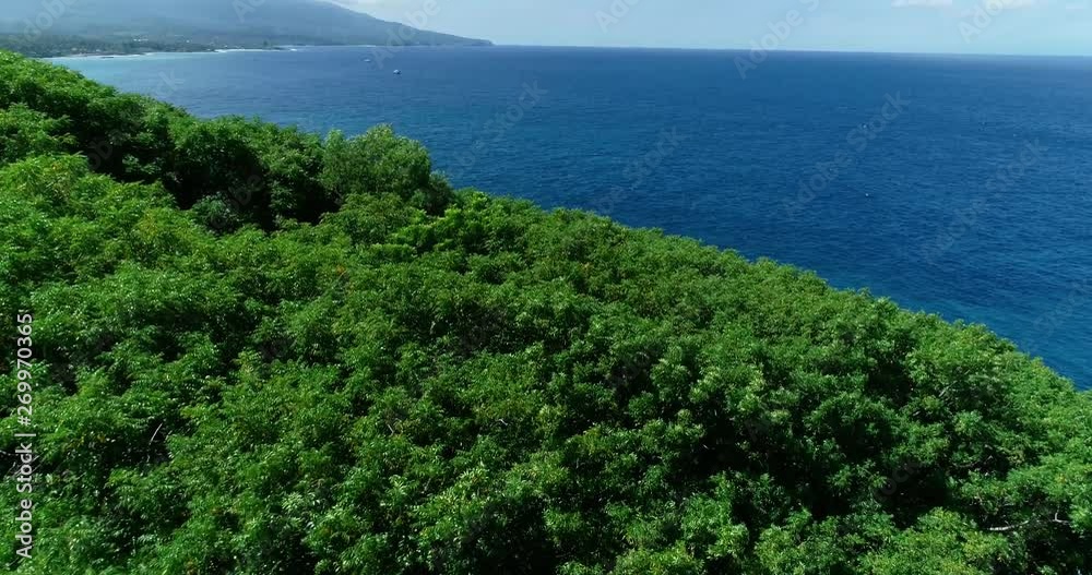 Aerial shot of cliff rocky green tropical forest coast, Bali, Indonesia 4K
