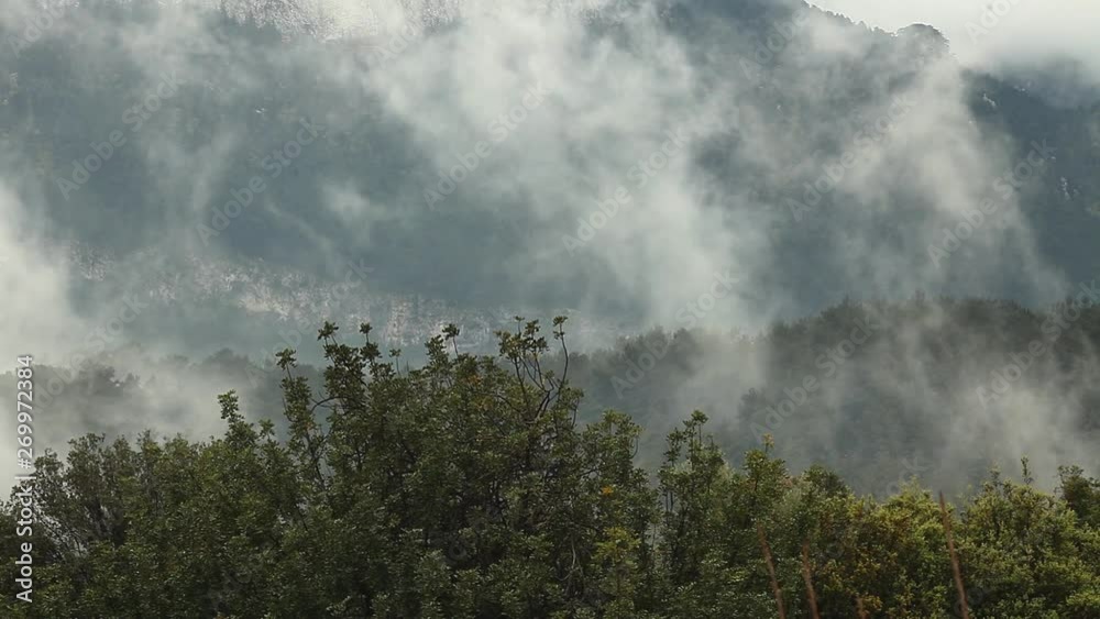 The Mountains With The Pine Tree Forest With Misty Fog. Misty Fog Blowing Over Mountains With Pine Tree Forest At Dusk. The Mountains With The Pine Tree Forest With Misty Fog. Misty Fog Blowing Over Mountains With Pine Tree Forest At Dusk.