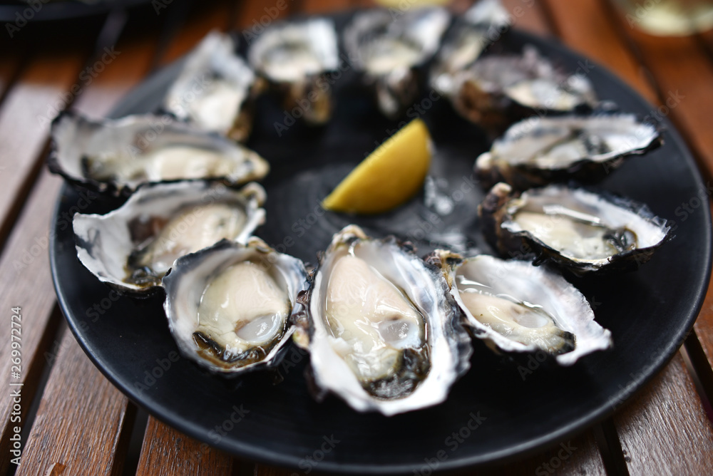 fresh oysters fresh oysters