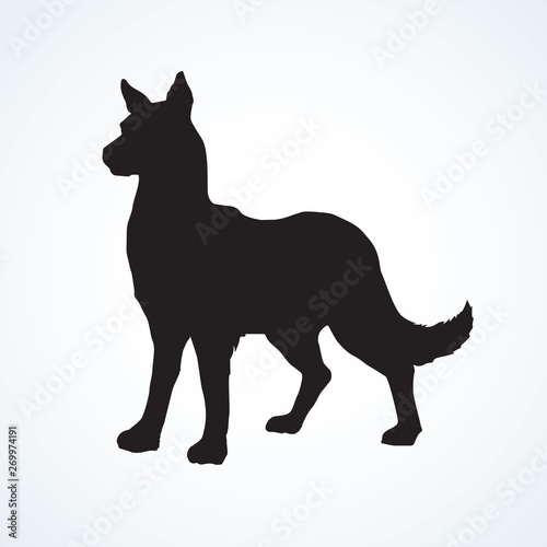 Wolf. Vector drawing