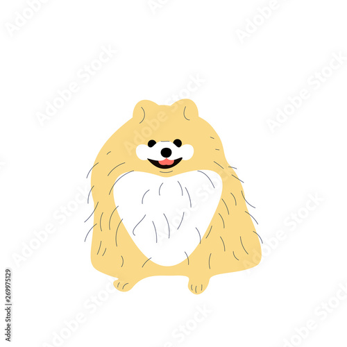 Cute pomeranian puppy, spitz little dog.