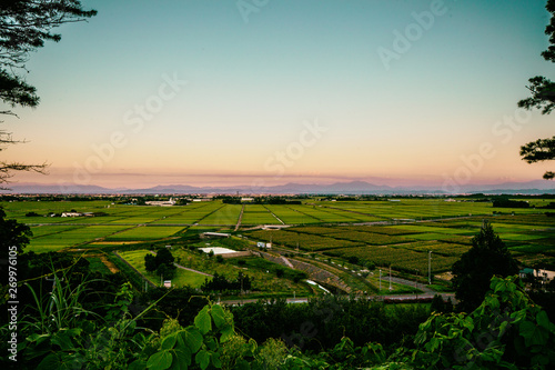 Scenic rice fields view Niigata Japan