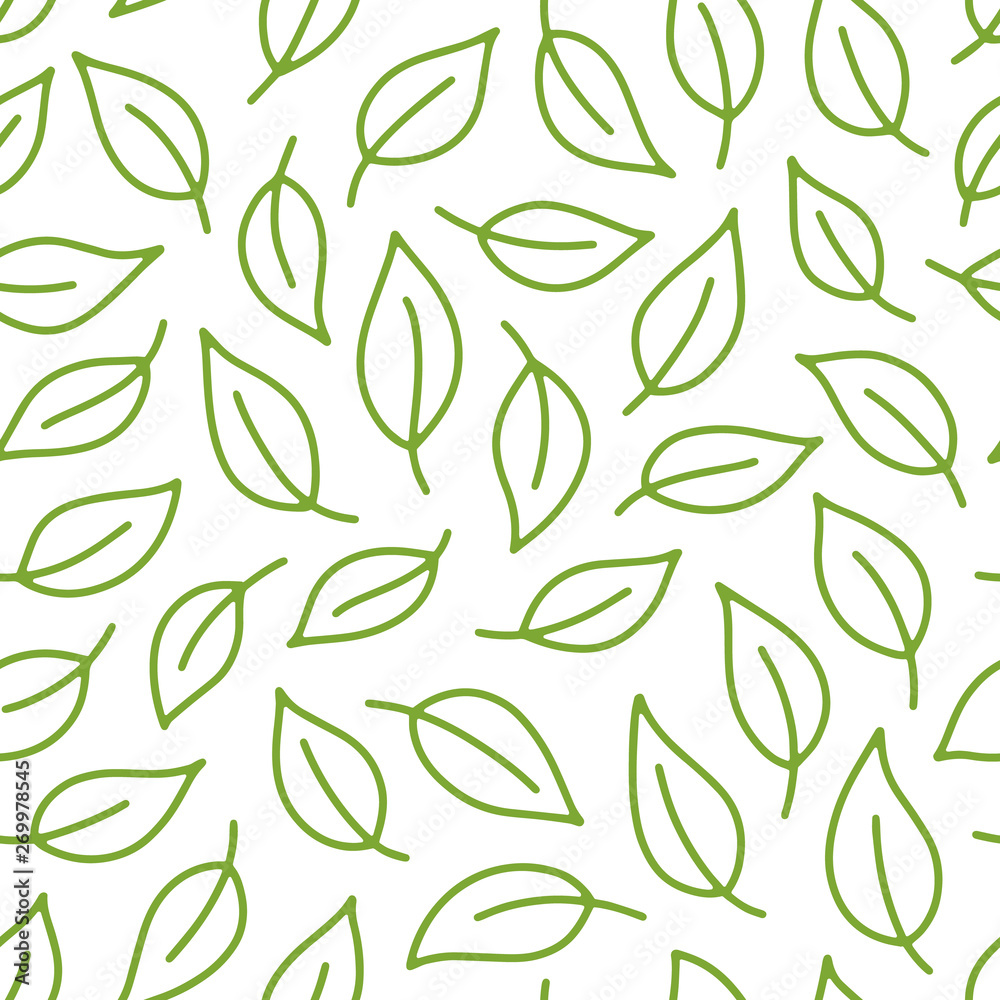 Leaf background. Green, white seamless pattern with leaves in minimal line doodle style. Decorative repeat package backdrop