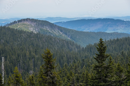 Amazing summer mountain landscape with blue sky and clouds - Jeseniky hills, Czech Republic, Europe © vitaprague