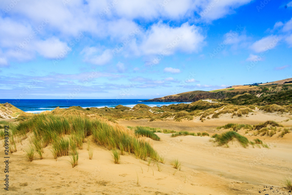 The sand dunes at Sandfly Bay
