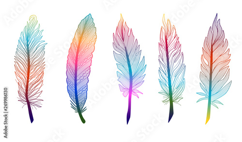 Set abstract feather. Vector illustration. EPS 10.