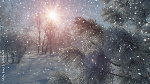 Snowfall in beautiful winte...