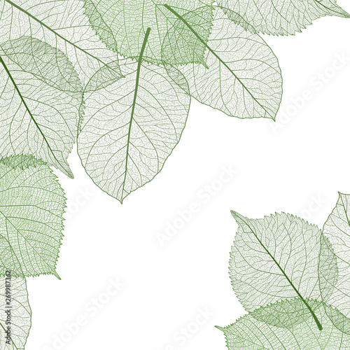 Beautiful background with green leaves . Vector illustration. EPS 10