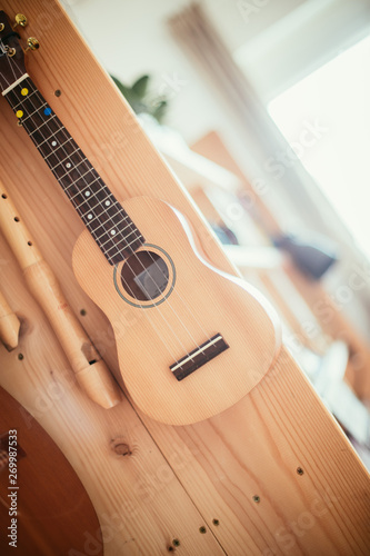 Ukulele: Close up of an ukulele, ready to play, hanging on a wooden bookshelf © Patrick Daxenbichler