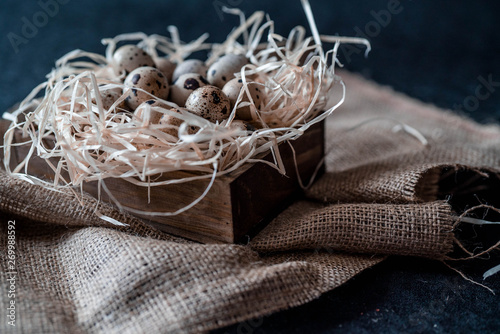 essen eier ostern photo