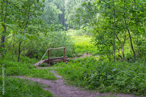 Wooden small bridge in the forest