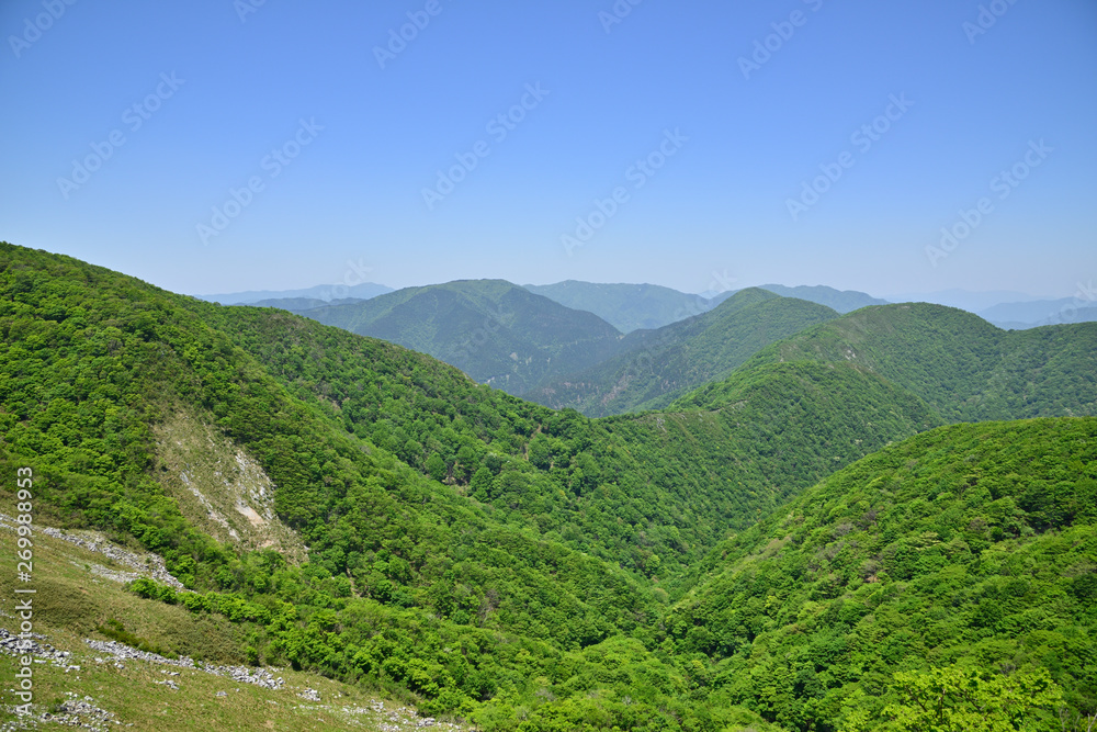 Fototapeta premium 日本アルプスの山並み