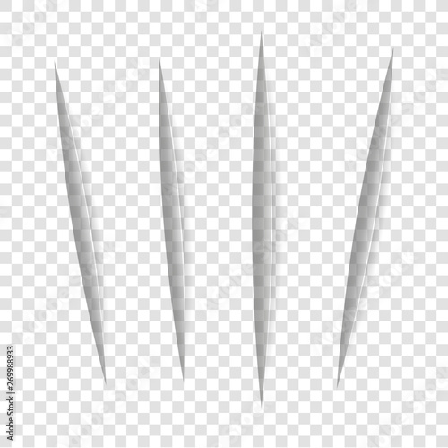 Vector realistic Cuts in paper sheet with a shadow on transparent background. 3d incision in the paper. Set of vertical cuts. Claw or a knife marks.