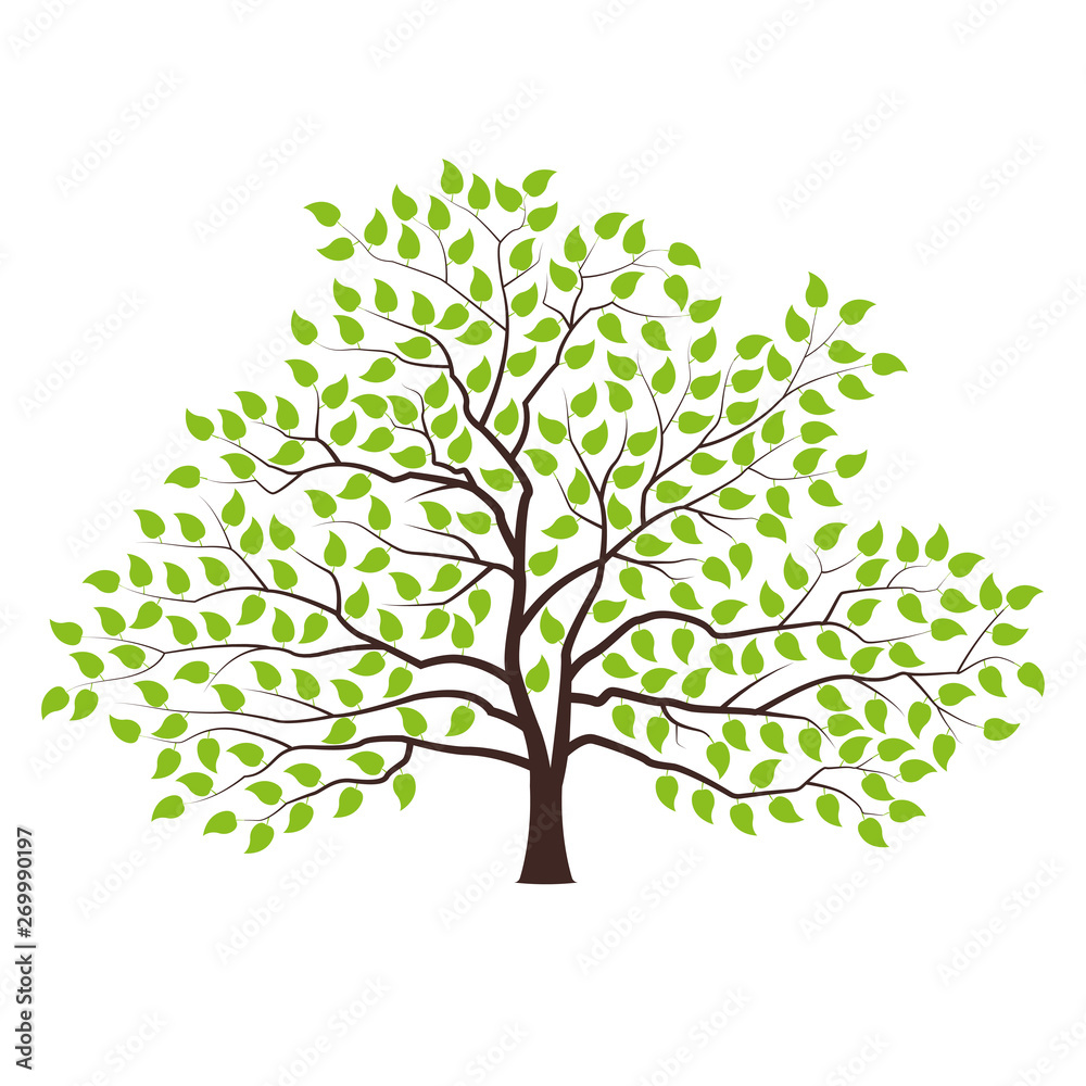 Tree with green foliage. Landscape design, nature, forest of garden symbol. Vector illustration. Tree with green foliage. Landscape design, nature, forest of garden symbol. Vector illustration.
