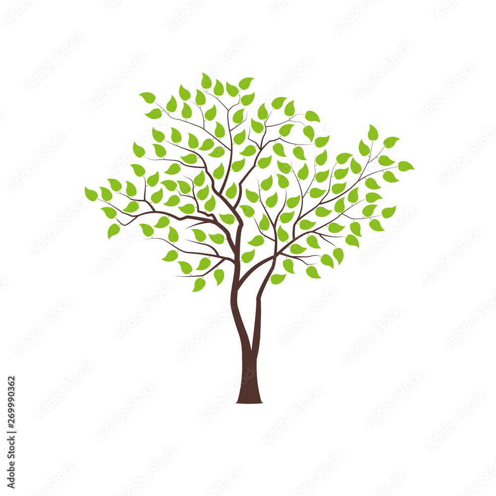 Tree with green foliage. Landscape design, nature, forest of garden symbol. Vector illustration. Tree with green foliage. Landscape design, nature, forest of garden symbol. Vector illustration.