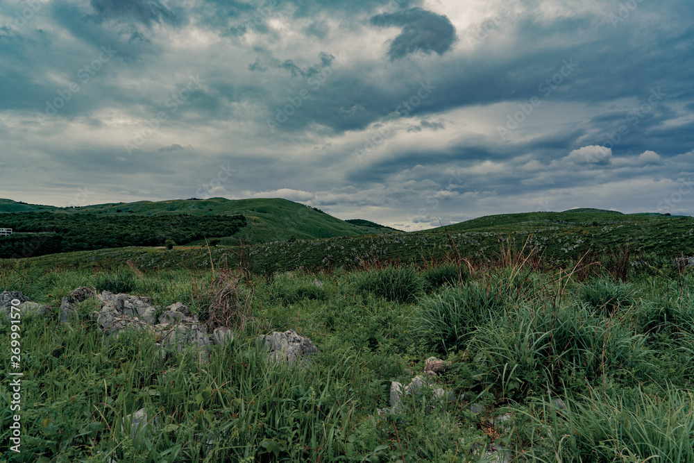 Obraz premium 草原