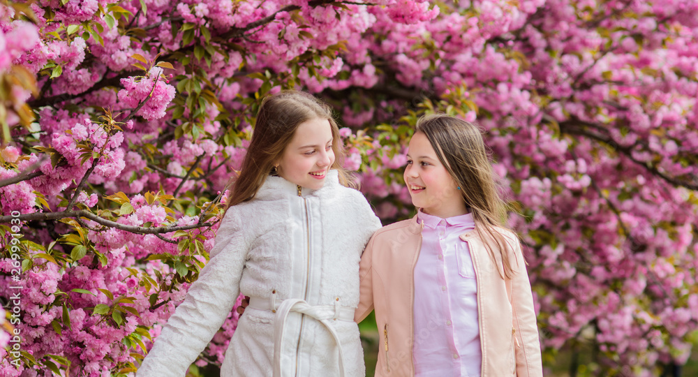 Flowers soft pink clouds. Children enjoy warm spring. Lost in blossom. Girls posing near sakura. Kids on pink flowers of sakura tree background. Botany concept. Kids enjoying cherry blossom sakura Flowers soft pink clouds. Children enjoy warm spring. Lost in blossom. Girls posing near sakura. Kids on pink flowers of sakura tree background. Botany concept. Kids enjoying cherry blossom sakura