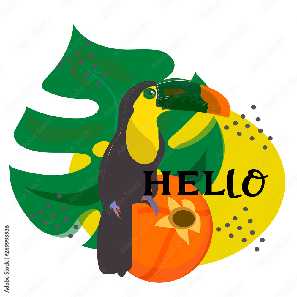 Obraz premium toucan with tropical flower and leave background, card, strelitzia