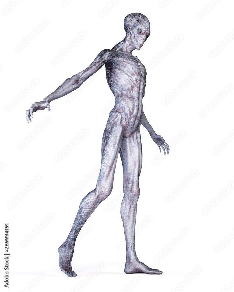 3d rendered illustration of an alien isolated on white