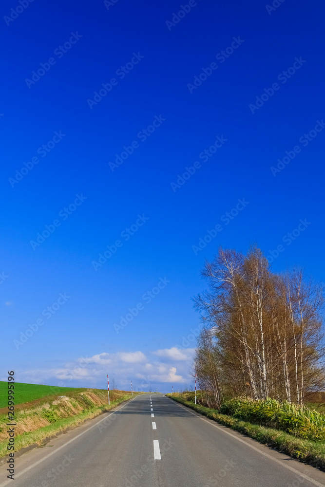 Fototapeta premium 日本 北海道 絶景の道と青空
