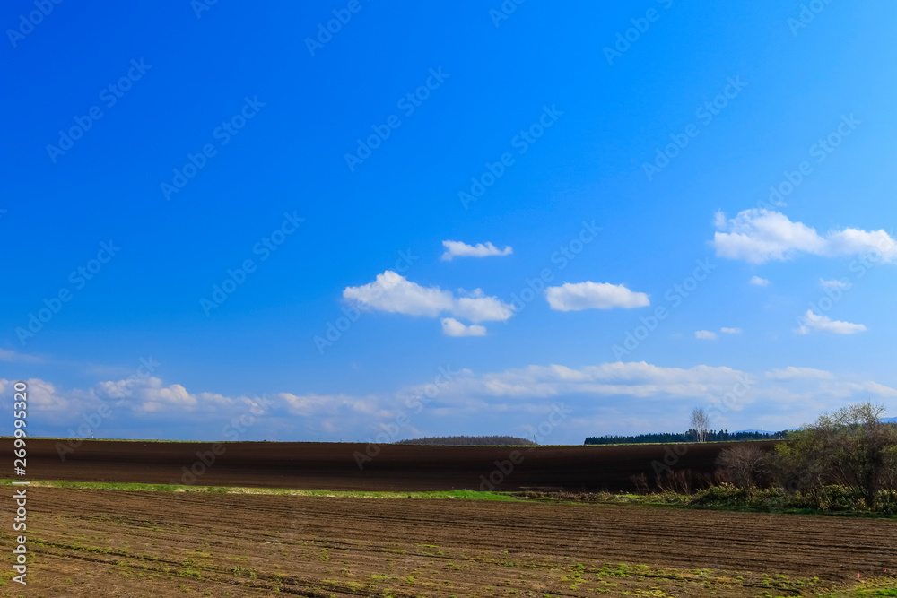 日本北海道草原背景と青空stock Photo Adobe Stock