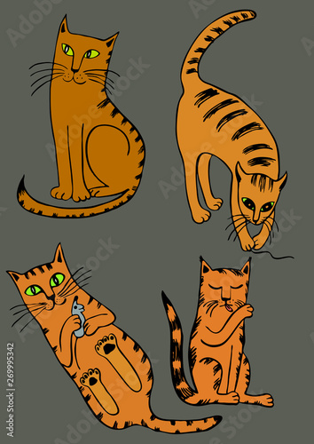 Cats set vector illustration hand drawing design characters emotions