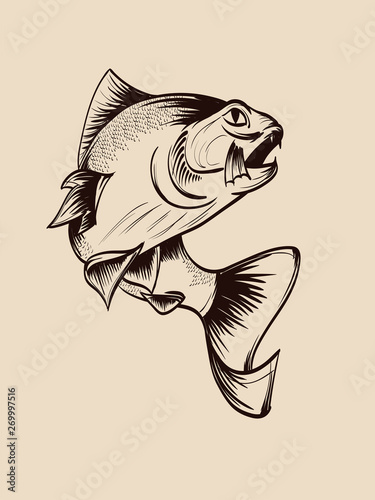 Fishing. Hand drawn vector fish. Sketch fish.