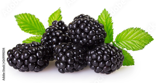 Fresh blackberry on white background photo