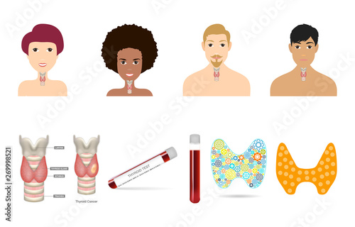 Thyroid gland on a silhouette of a men and women. Big thyroid elements set. Body anatomy sign. Human endocrine system. Medical internal organ vector illustration, eps 10.
