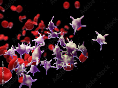 3d rendered medically accurate illustration of platelets photo