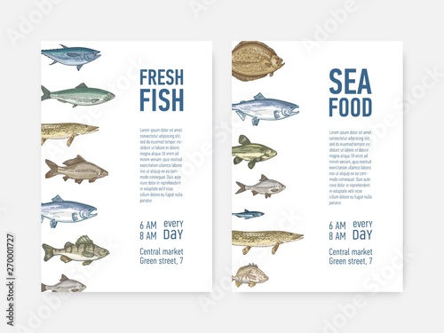 Set of flyer or poster templates with fish and place for text. Cards with aquatic creatures, marine animals. Realistic vector illustration in vintage style for event announcement, advertisement.