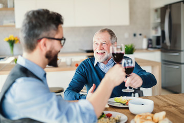 An adult hipster son and senior father indoors at home, eating light lunch.