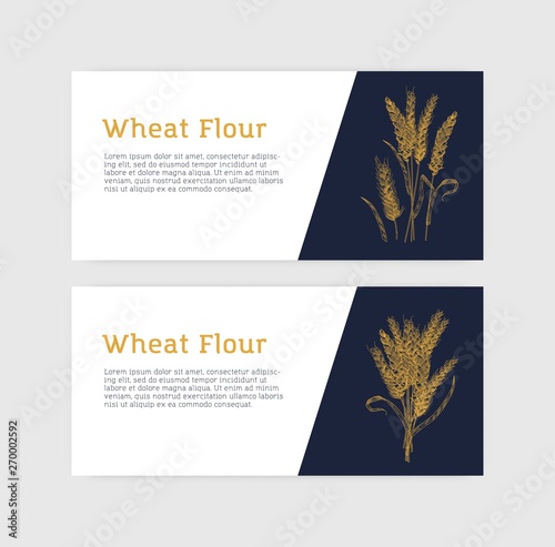 Collection of horizontal banner templates with wheat ears or spikelets. Cultivated plant, cereal grain or food crop. Monochrome vector illustration for flour, promotion of product for baking.