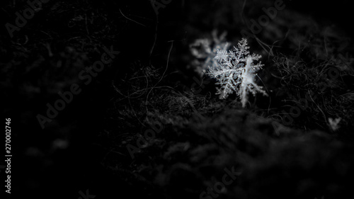 Abstract, snowflake on a dark background . Christmas background for layout. christmas theme